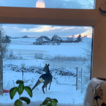 Vinkelgaard Apartment Ringsted Luaran gambar